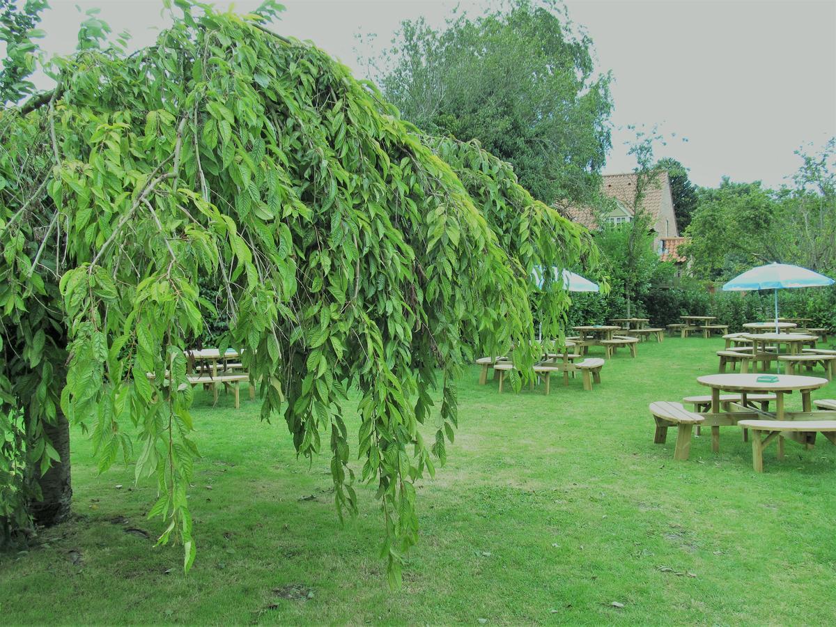 The Three Horseshoes Warham エクステリア 写真